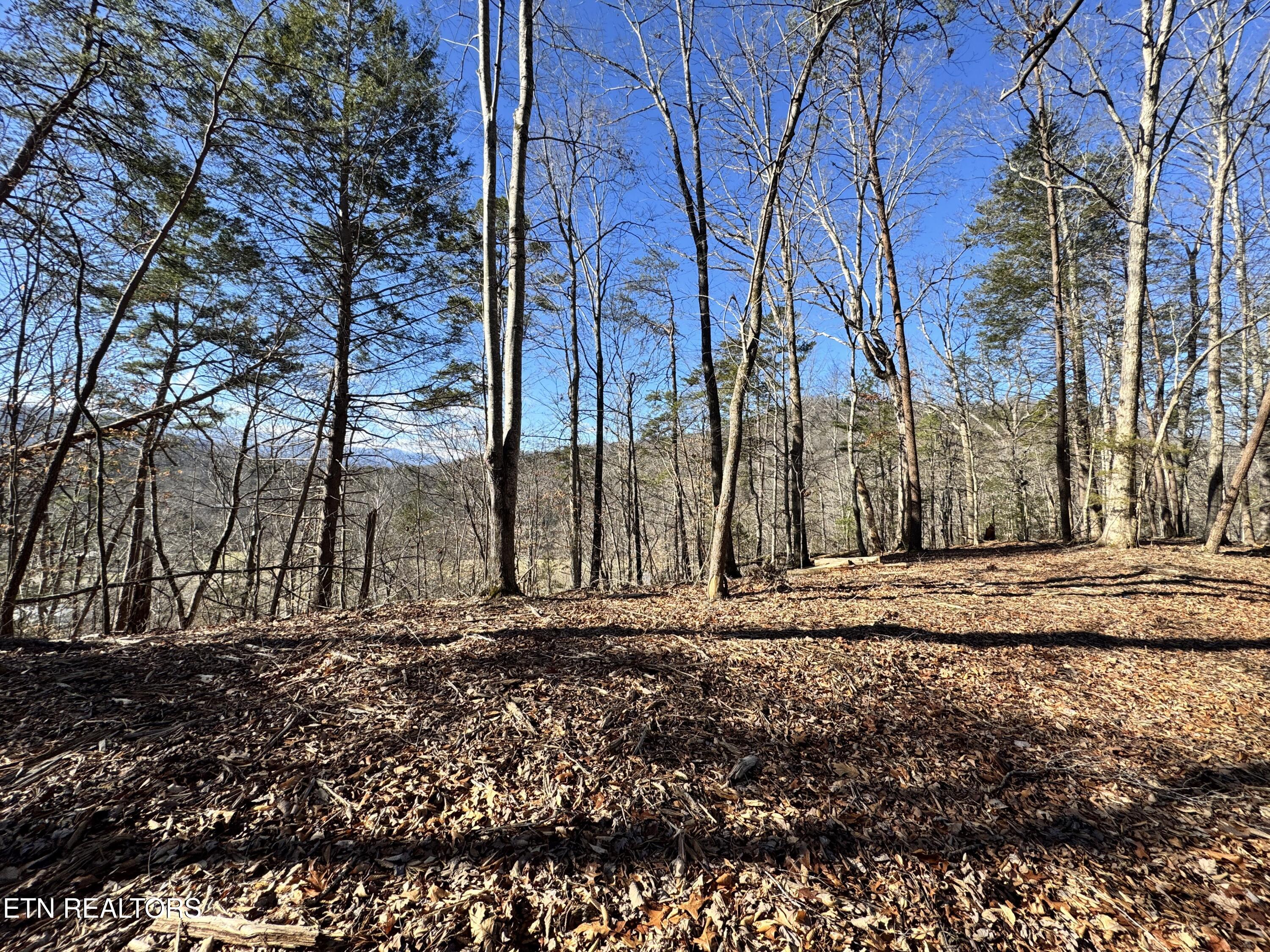 Deerfoot Road Cosby, TN 37722 - Photo 17 of 18 8.09 Acres - 12 lots