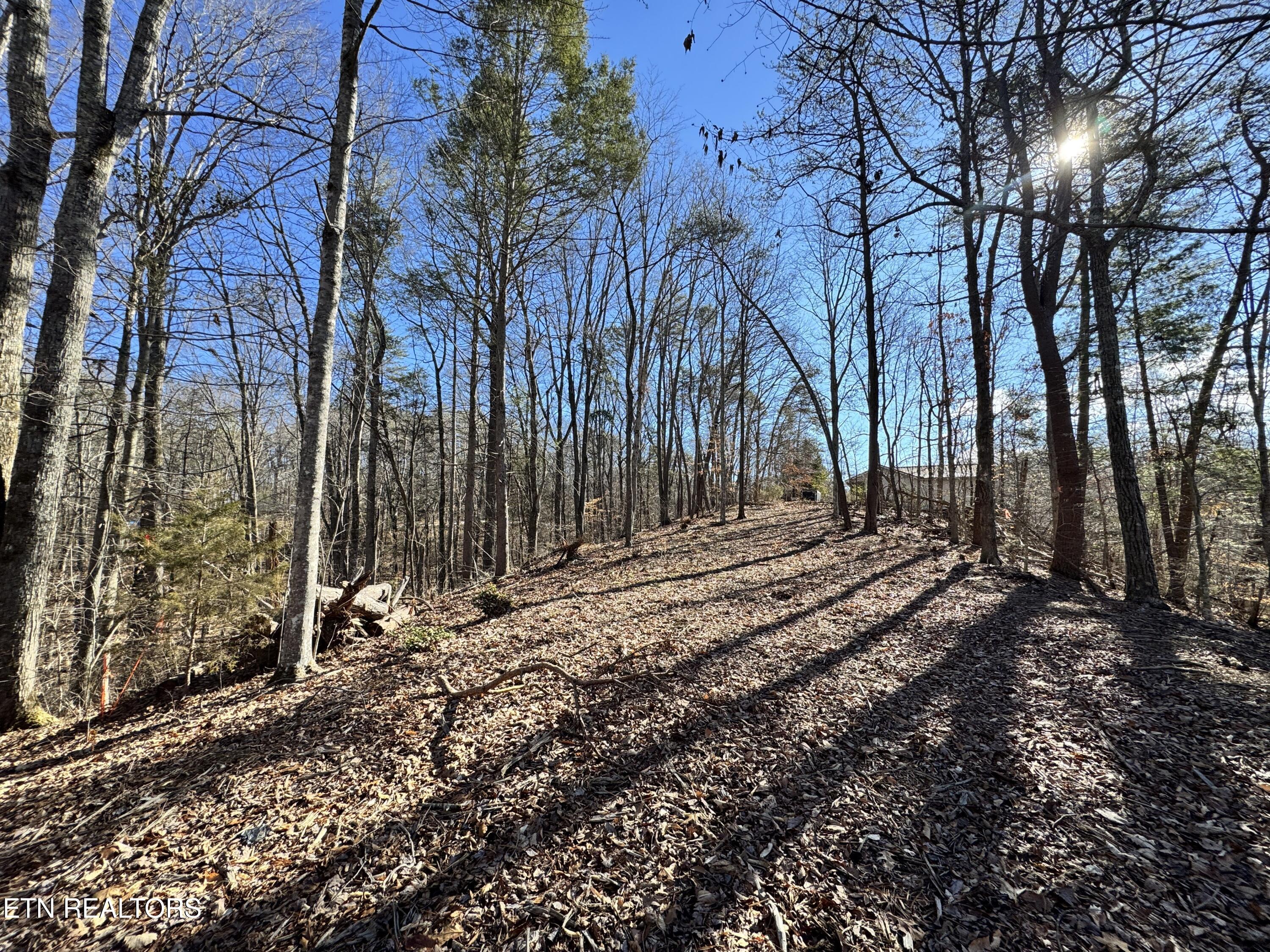 Deerfoot Road Cosby, TN 37722 - Photo 18 of 18 8.09 Acres - 12 lots
