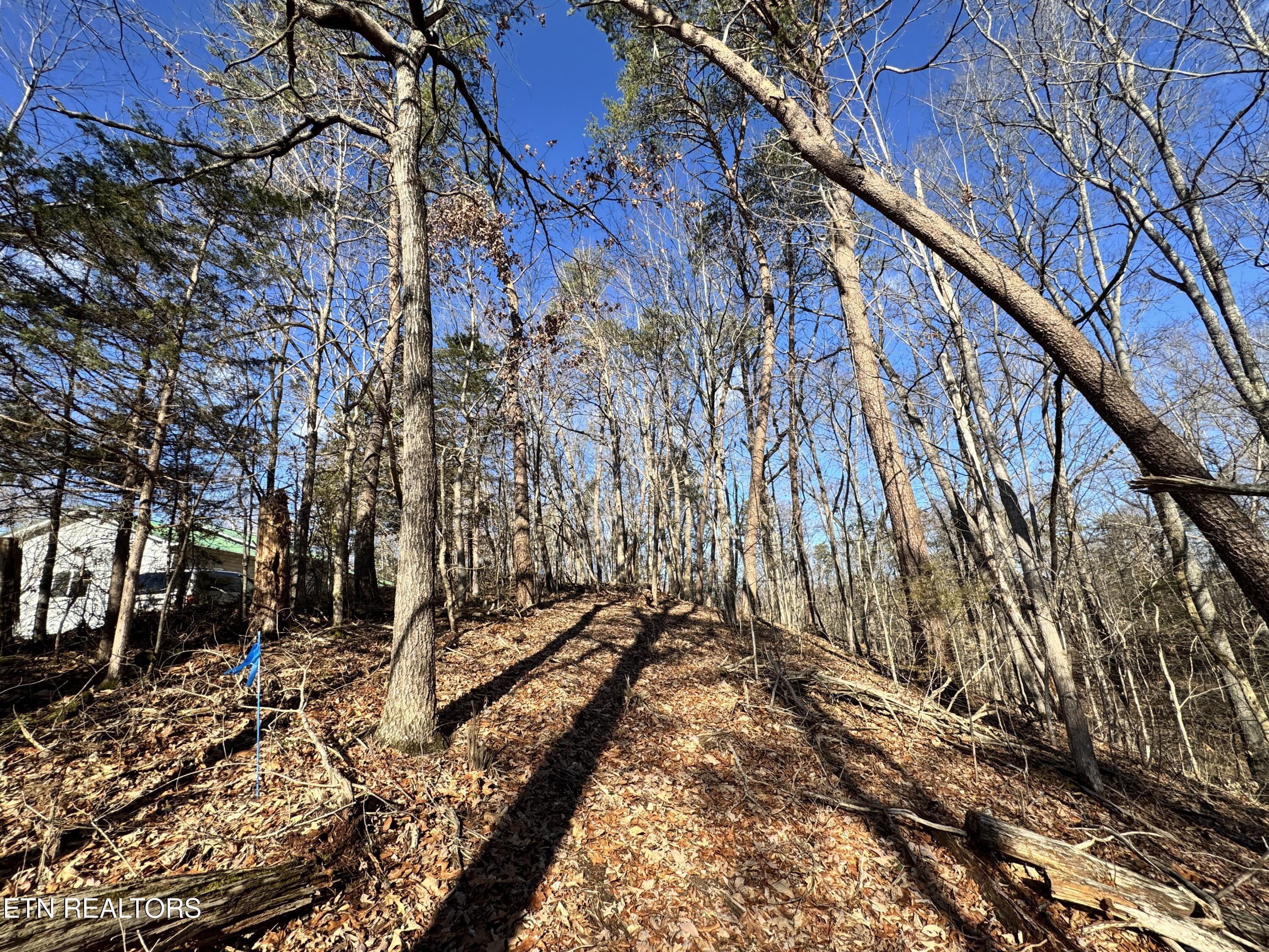 Deerfoot Road Cosby, TN 37722 - Photo 3 of 18 8.09 Acres - 12 lots