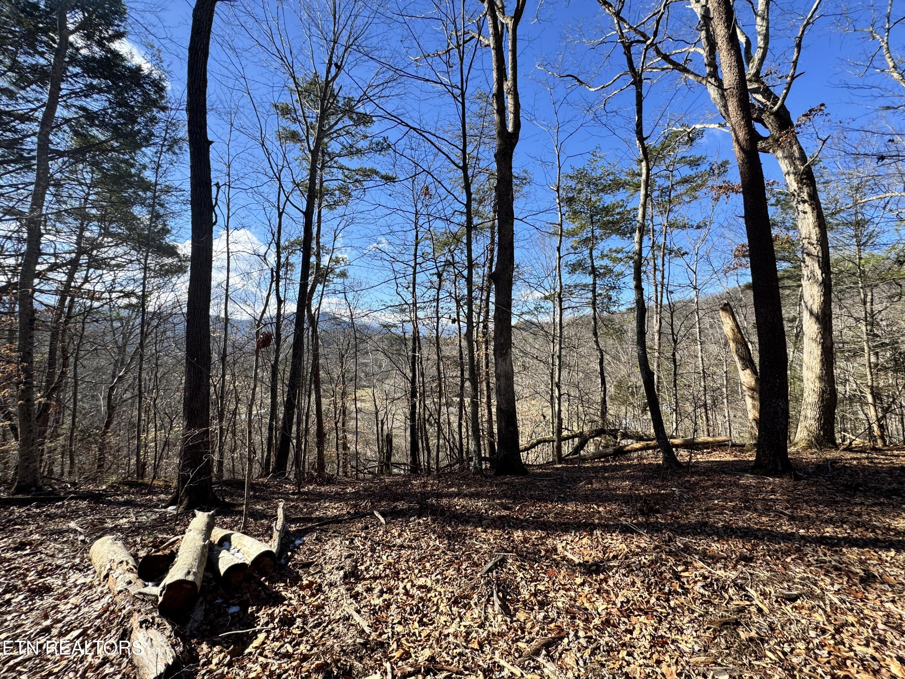 Deerfoot Road Cosby, TN 37722 - Photo 4 of 18 8.09 Acres - 12 lots