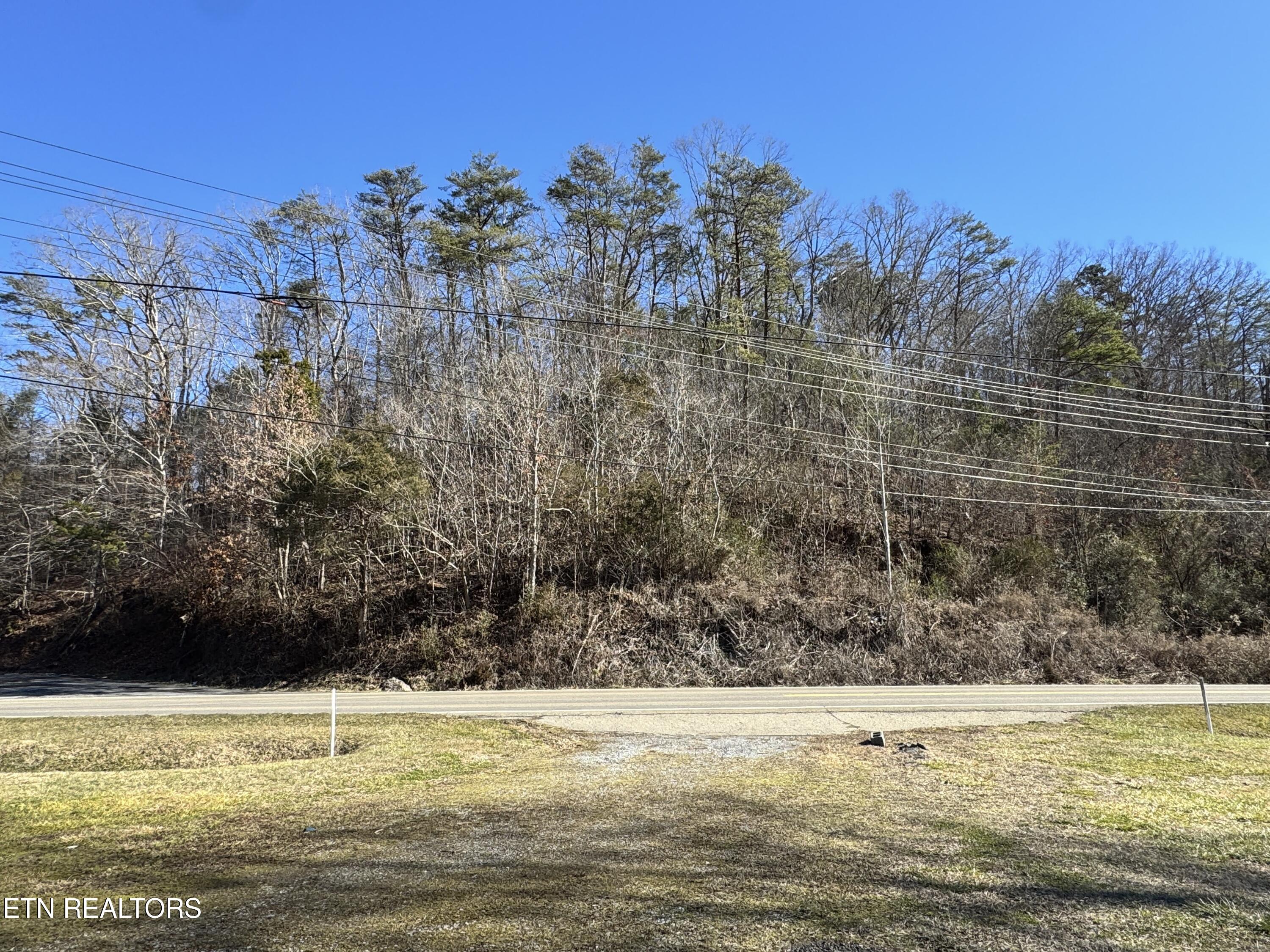 Deerfoot Road Cosby, TN 37722 - Photo 5 of 18 8.09 Acres - 12 lots