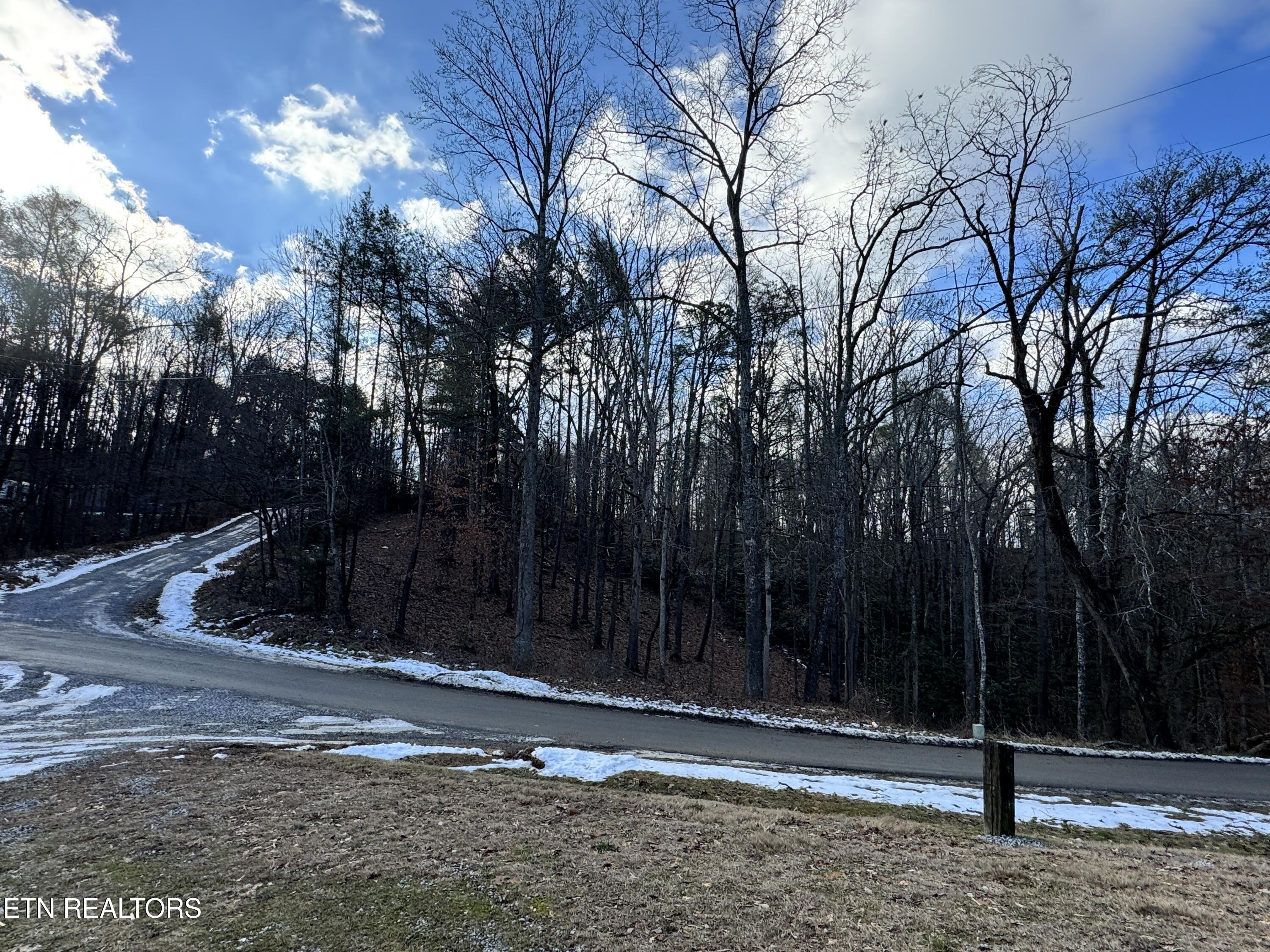 Deerfoot Road Cosby, TN 37722 - Photo 7 of 18 8.09 Acres - 12 lots