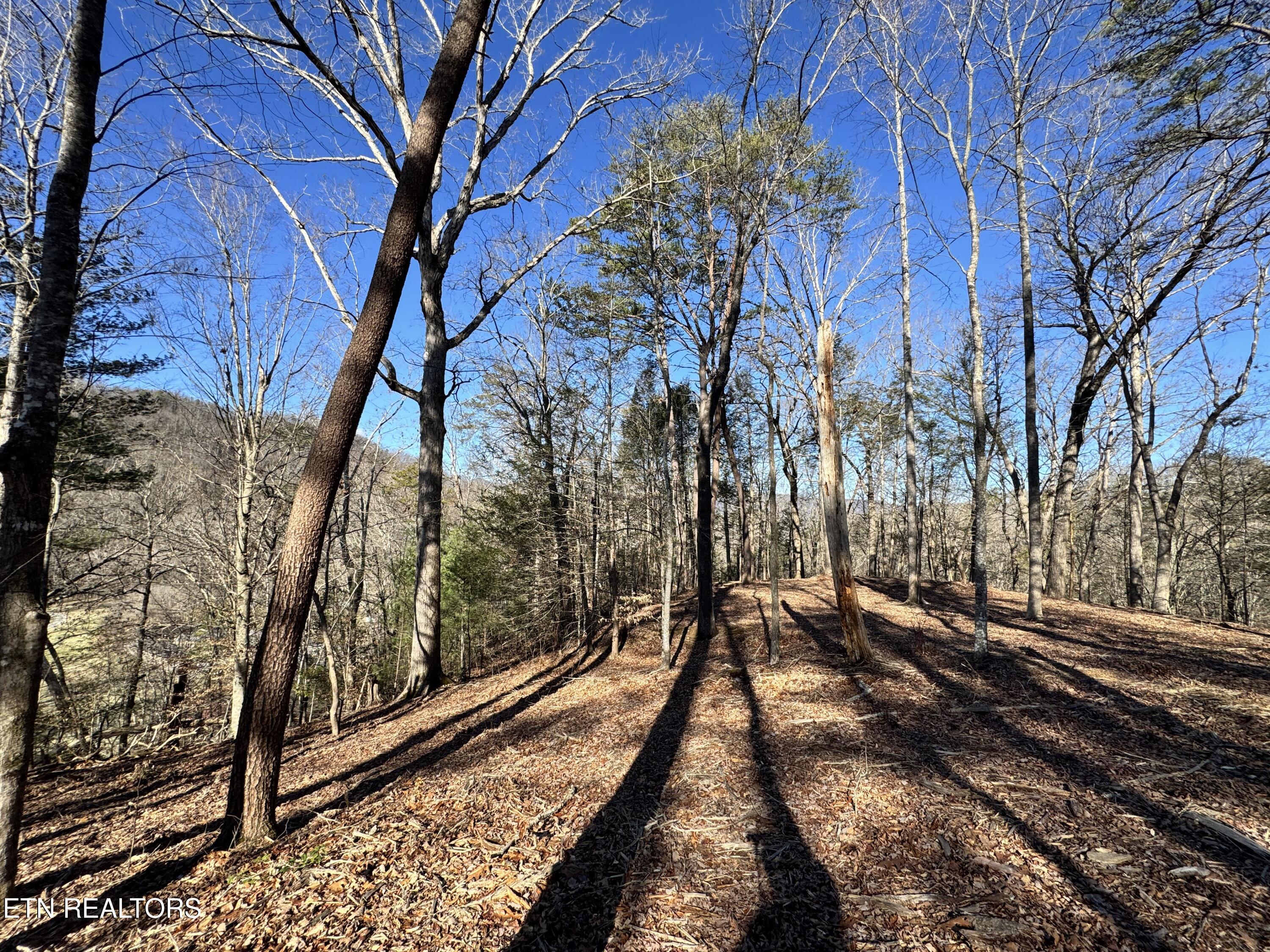 Deerfoot Road Cosby, TN 37722 - Photo 8 of 18 8.09 Acres - 12 lots