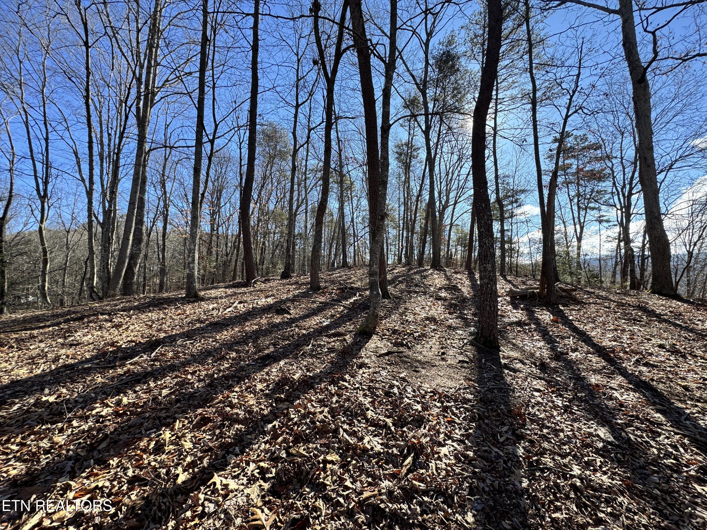 Deerfoot Road Cosby, TN 37722 - Photo 9 of 18 8.09 Acres - 12 lots