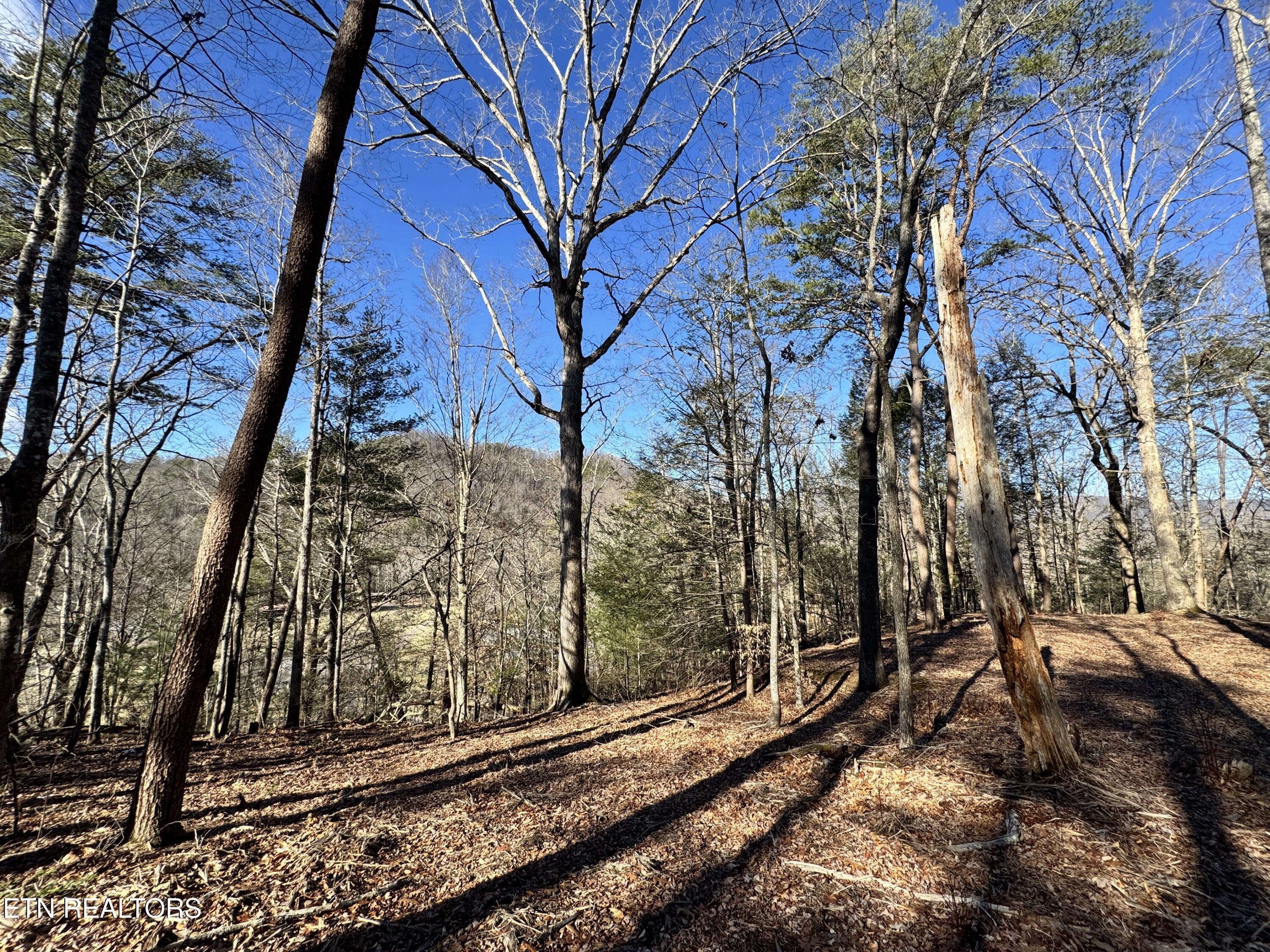 Deerfoot Road Cosby, TN 37722 - Photo 10 of 18 8.09 Acres - 12 lots