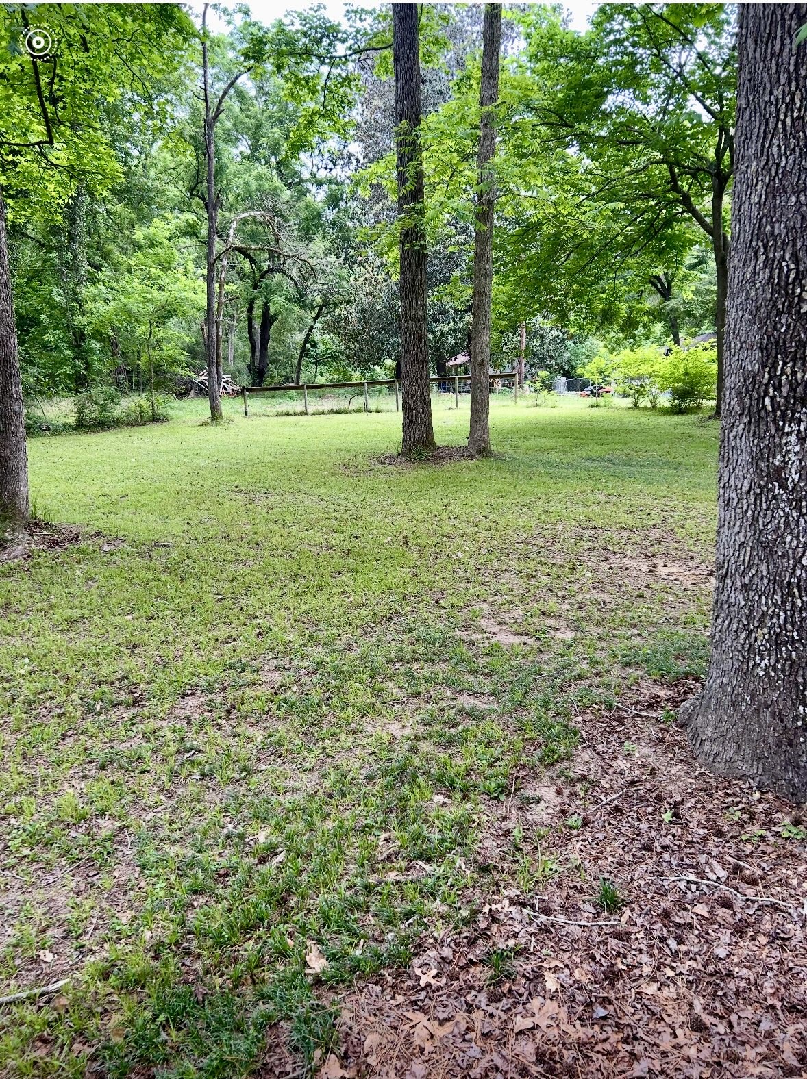 141 Walnut Loop Shepherd, TX 77371 - Photo 50 of 50 Peaceful….this could be yours!