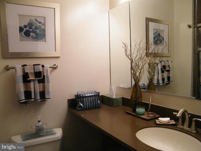 1960 Flowering Tree Terrace Silver Spring, MD 20902 - Photo 11 of 24 Lovely Remodeled Master Bath with Silestone & Tile