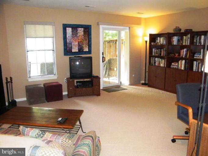 1960 Flowering Tree Terrace Silver Spring, MD 20902 - Photo 18 of 24 Spacious Lower Level Family Room -lots of sunlight