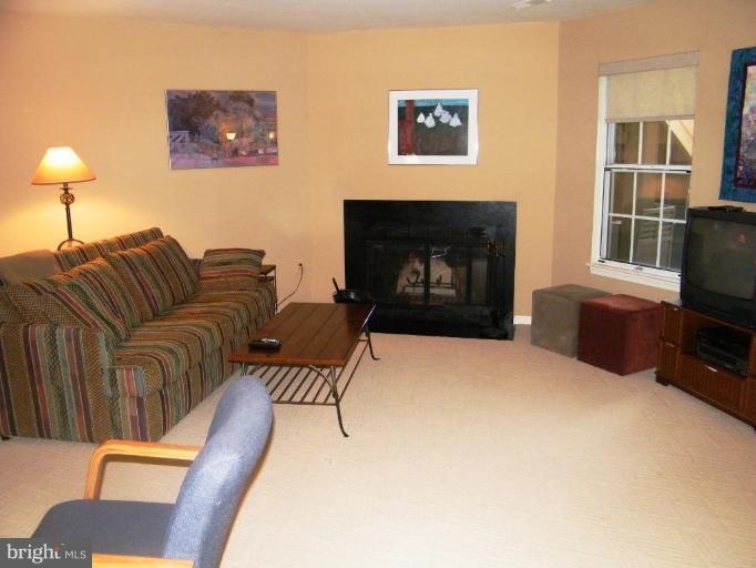 1960 Flowering Tree Terrace Silver Spring, MD 20902 - Photo 19 of 24 Alternate View of Family Room w/ Wd burning Firepl