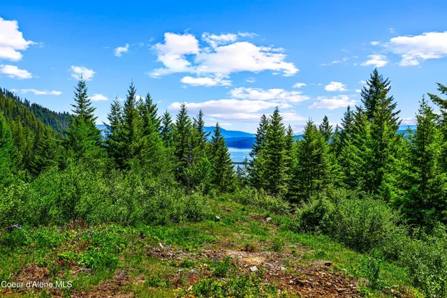 $397,000 | 5 Acres ) Sandpoint Id 83864, Hope, ID 83836
