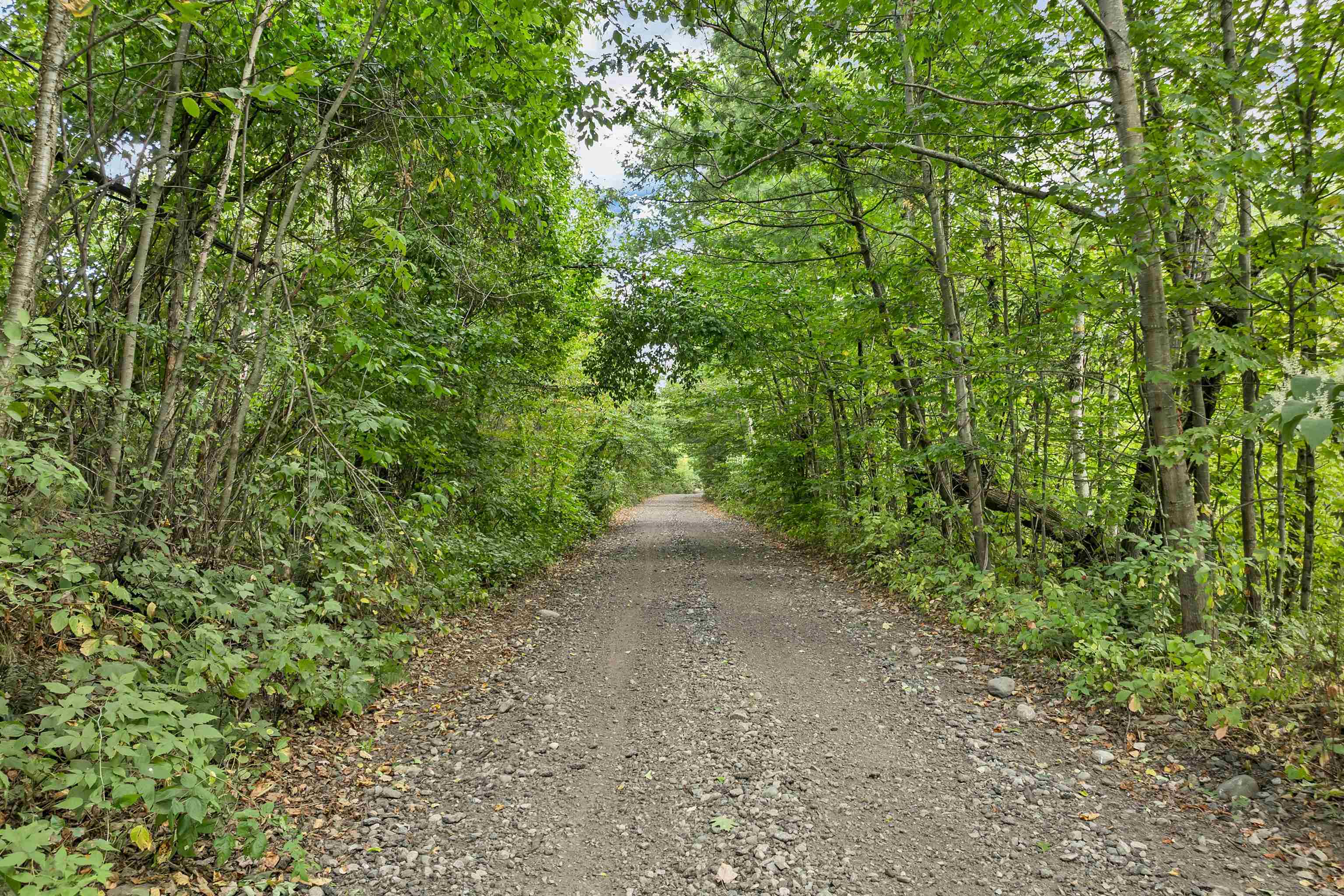 14 Chase Road Warren, NH 03279 - Photo 54 of 58 Gallery Image 54