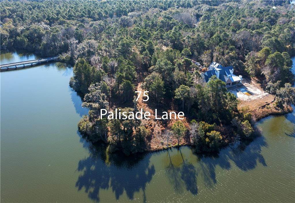 75 Palisade Lane St. Simons Island, GA 31522 - Photo 3 of 5
