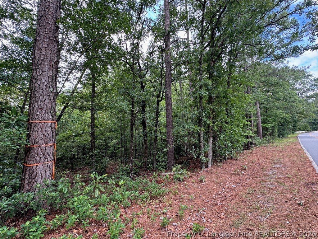 Tbd Myra Road Raeford, NC 28376 - Photo 13 of 23 Road Frontage is approximately 335 feet from this tree to the neighbor's fence.