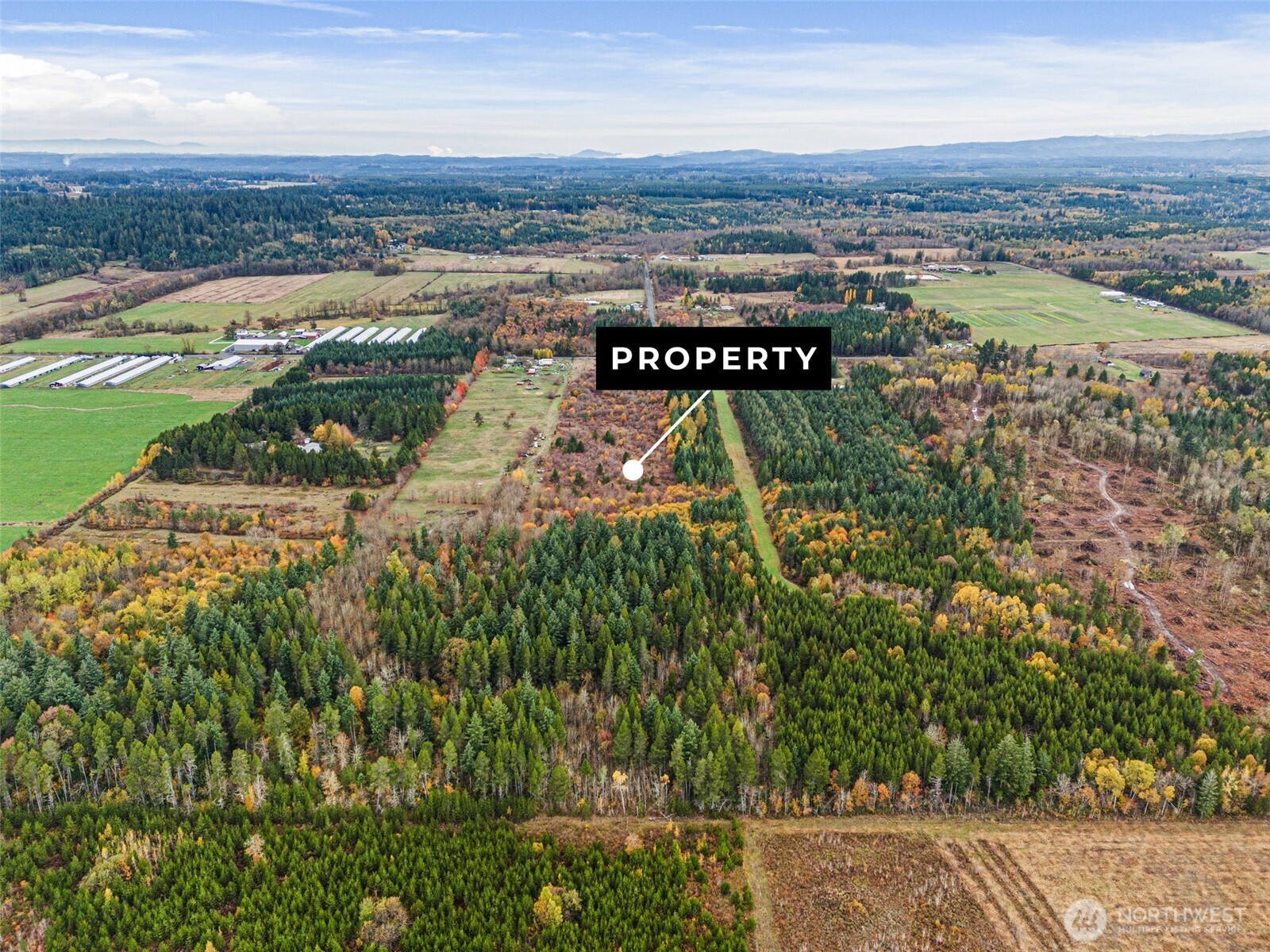 X Oyler Road Toledo, WA 98591 - Photo 13 of 24