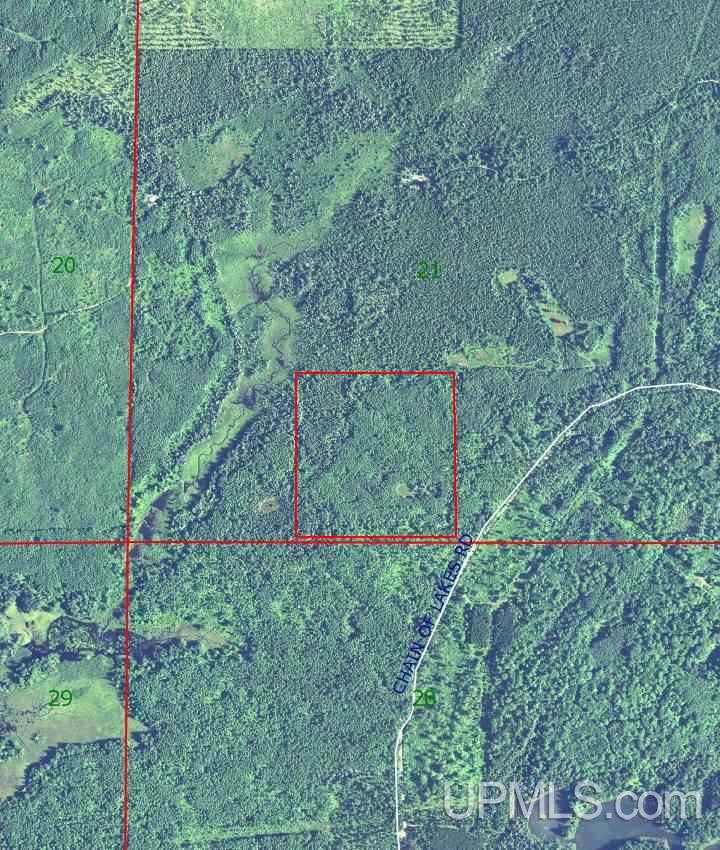 Tbd Tbd Off Casey Lake Road Ishpeming, MI 49849 - Photo 1 of 8