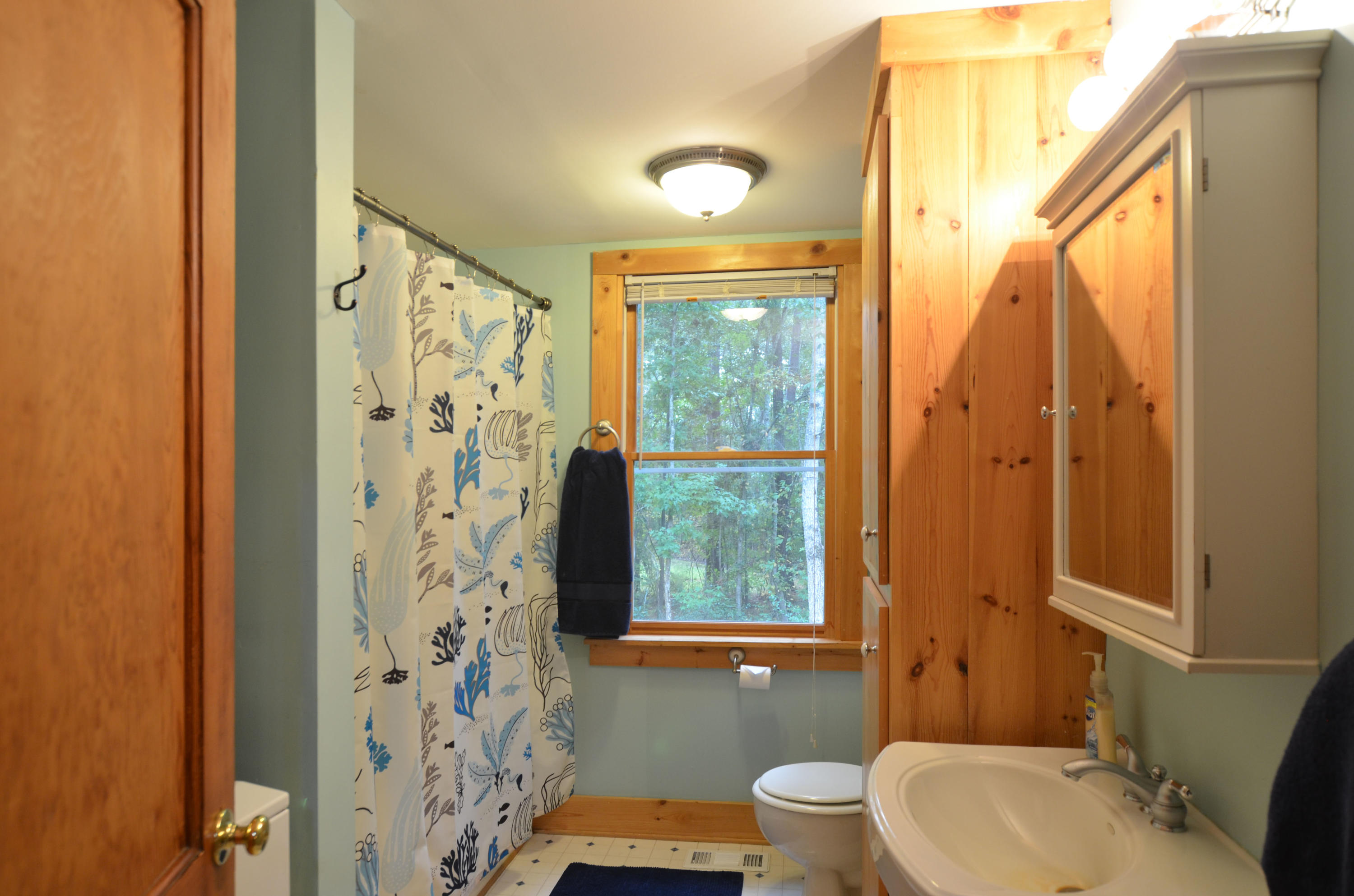 10049 South Carolina Road McClellanville, SC 29458 - Photo 15 of 21 13-Bath1