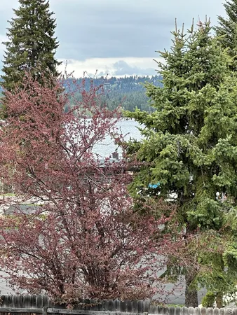 $1,250,000 | 1305 Greystone Drive, Unit 2, McCall, ID 83638