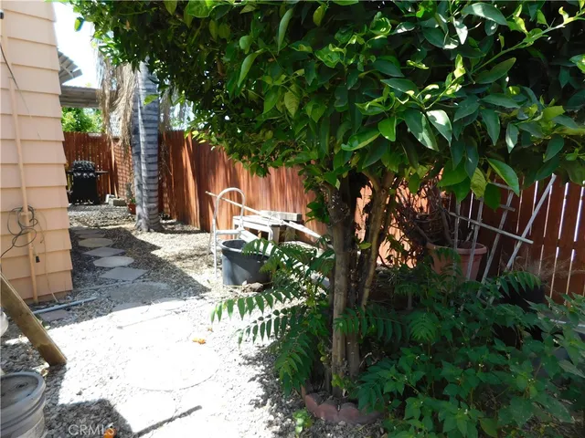 a view of backyard with plants and trees