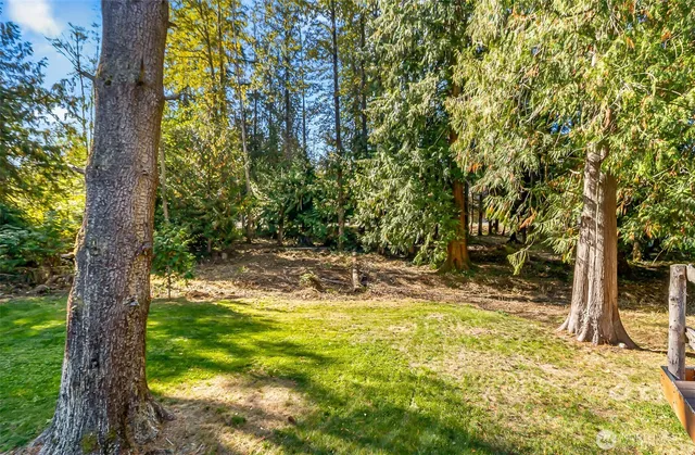 a view of a yard with trees