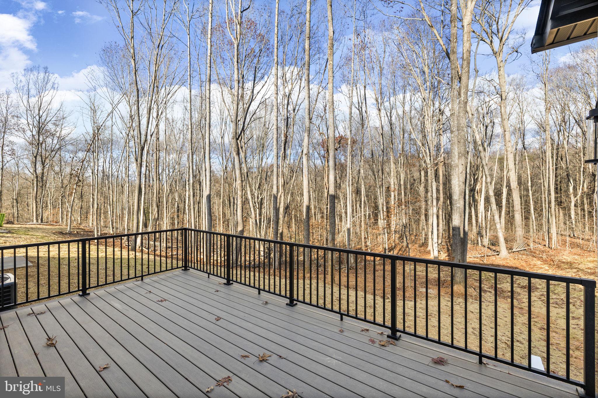 20373 Beaver Crk Court Lignum, VA 22726 - Photo 28 of 61 Lovely Deck from Kitchen area next to Master Bed.