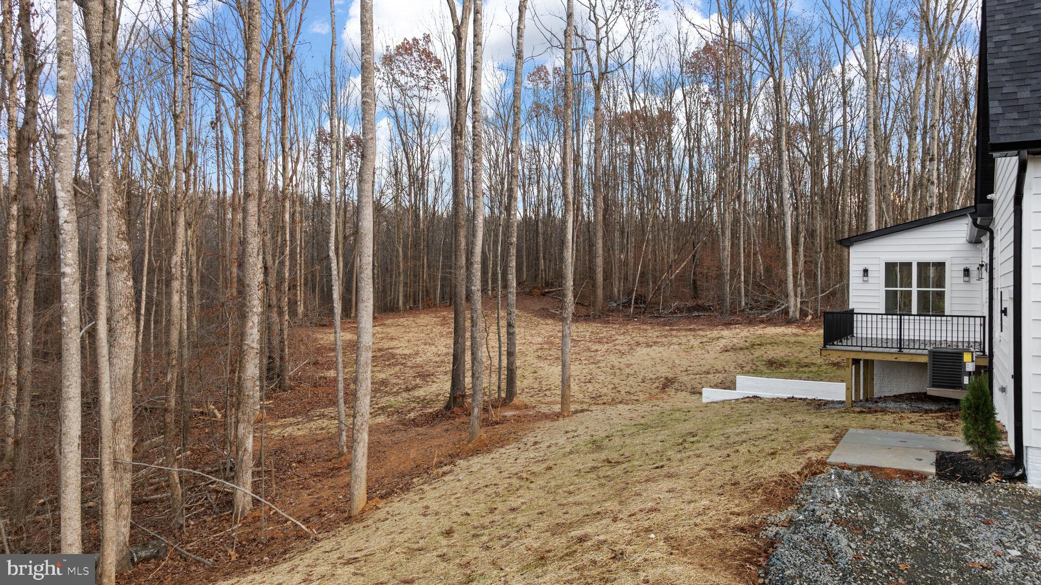 20373 Beaver Crk Court Lignum, VA 22726 - Photo 53 of 61