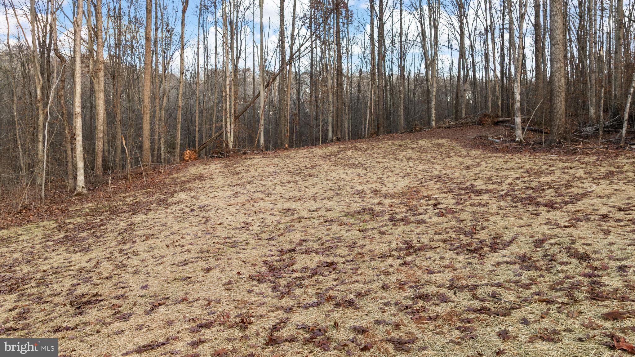 20373 Beaver Crk Court Lignum, VA 22726 - Photo 55 of 61