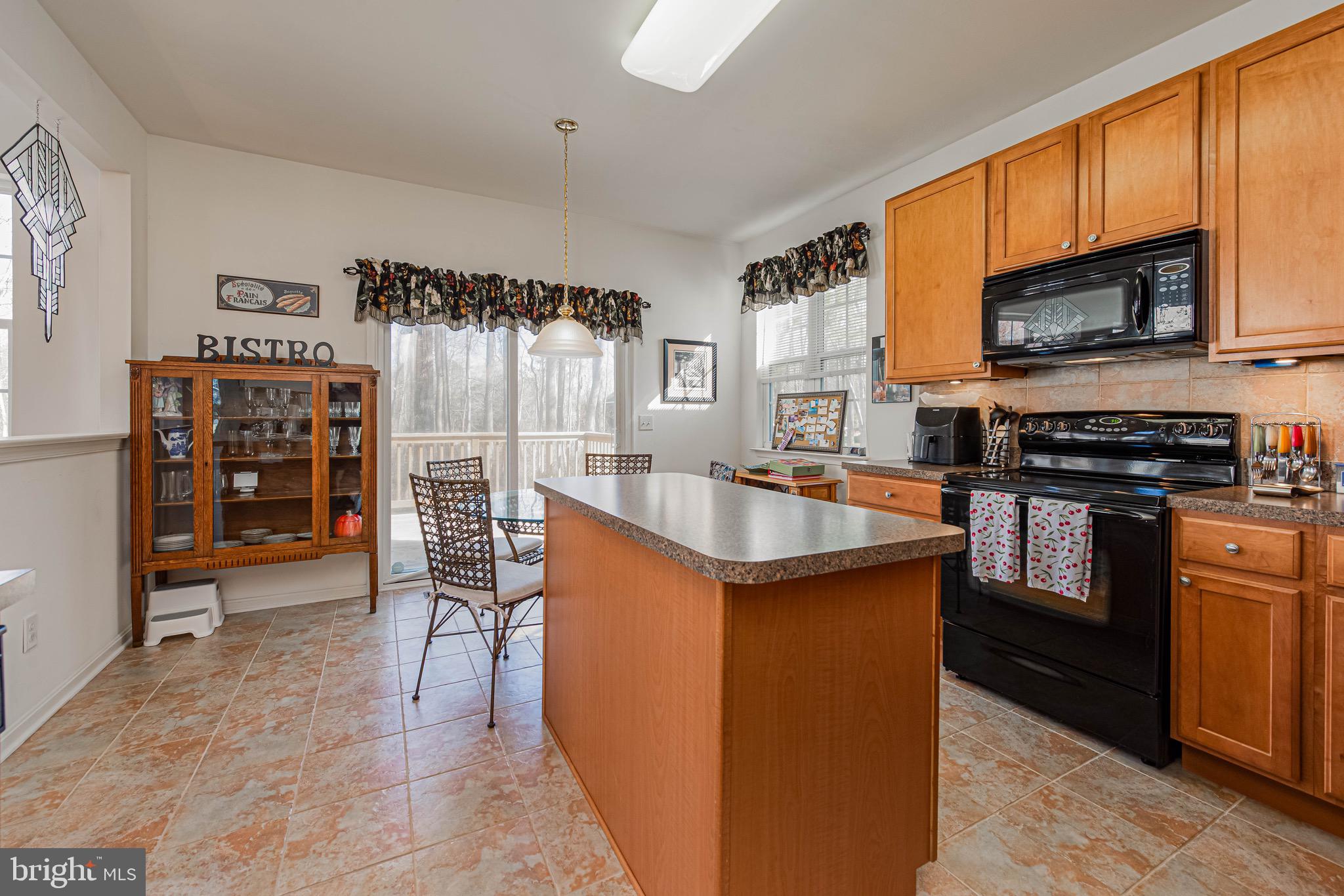 13 Ronzetti Avenue Selbyville, DE 19975 - Photo 12 of 36