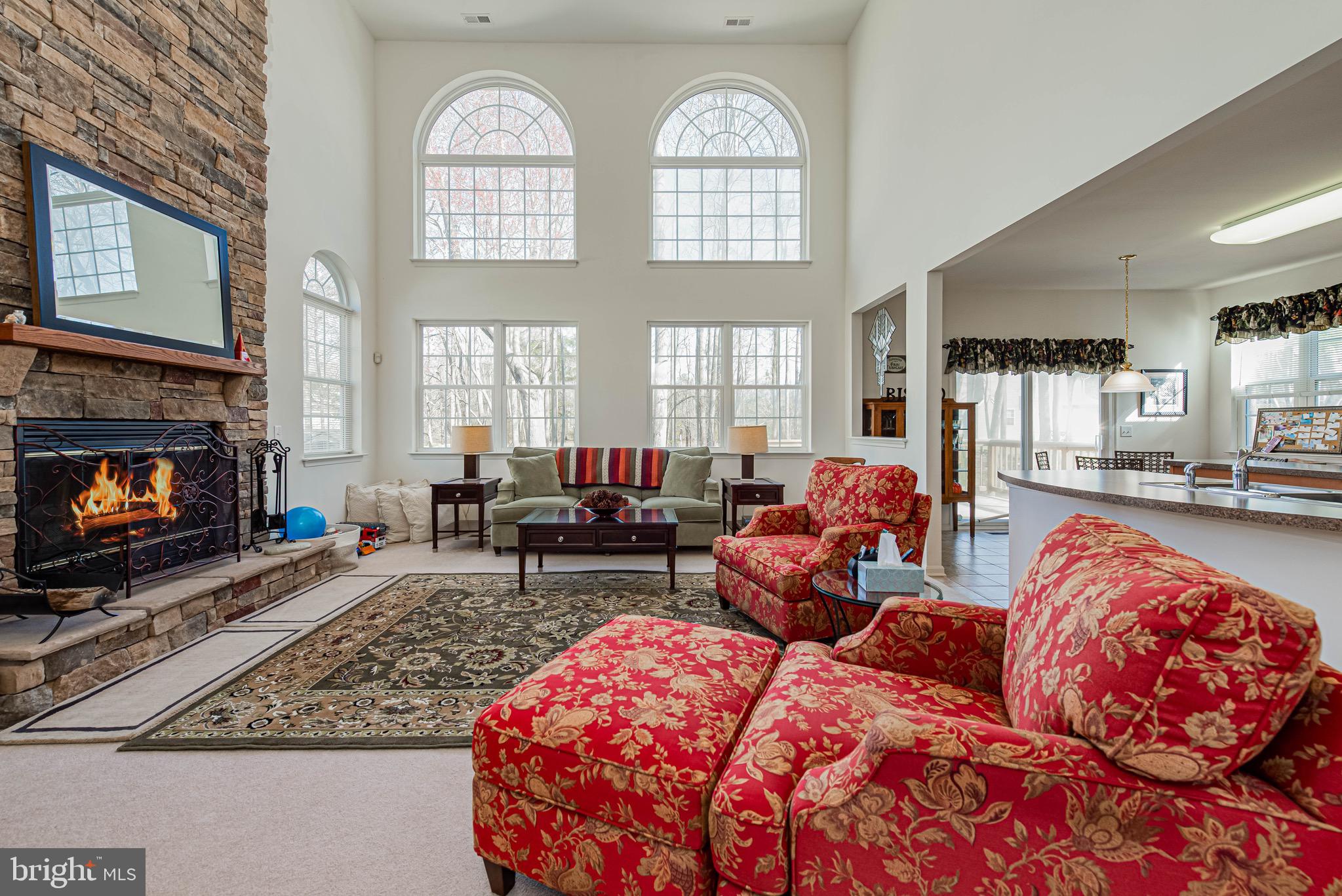 13 Ronzetti Avenue Selbyville, DE 19975 - Photo 2 of 36