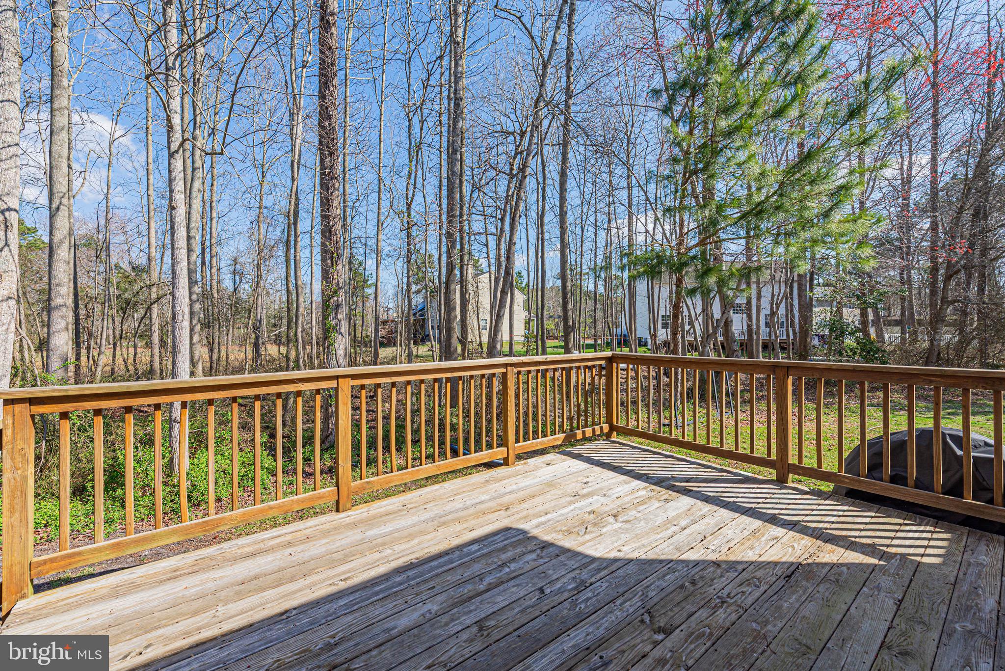 13 Ronzetti Avenue Selbyville, DE 19975 - Photo 5 of 36