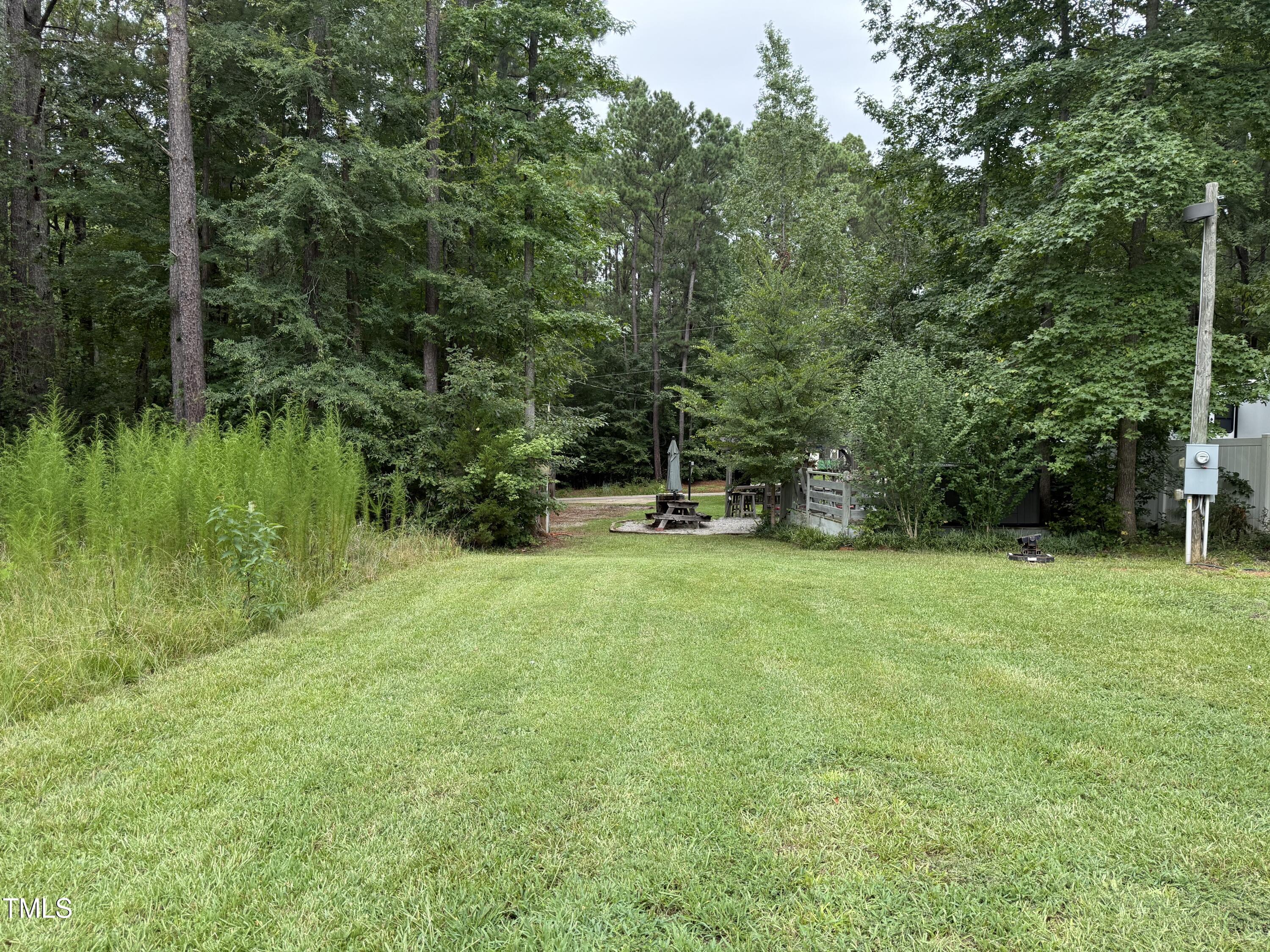 a garden view