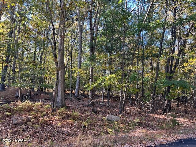 Lot 332 Racoon Road Dingmans Ferry, PA 18328 - Photo 2 of 9