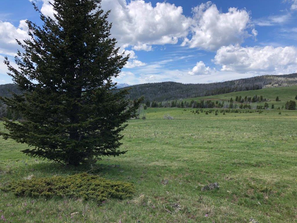 Tbd Indian Creek Road Townsend, MT 59644 - Photo 48 of 50 Gallery Image 48