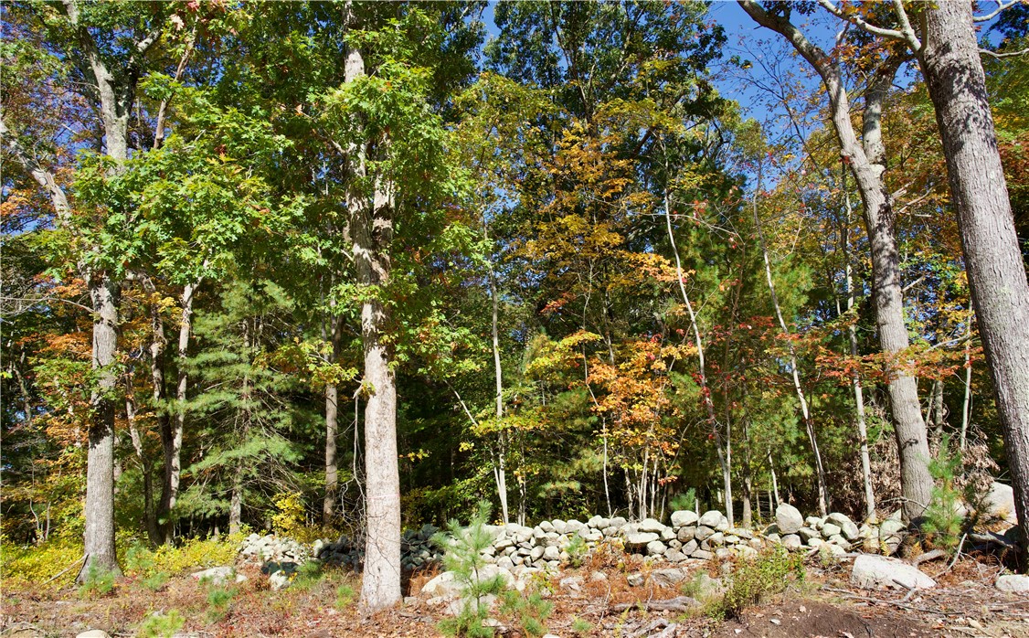 0 Amore Lane East Greenwich, RI 02818 - Photo 2 of 4