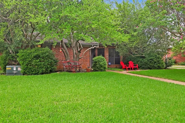 a view of a backyard with potted plants and large tree