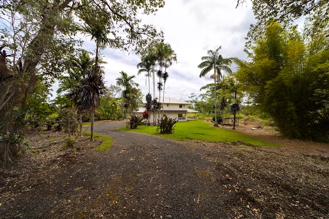a view of a park with large trees