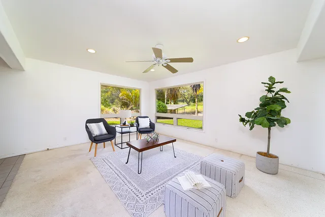 a living room with furniture and a potted plant