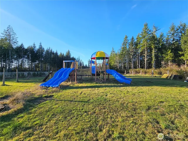 a view of a swimming pool with a yard and palm trees