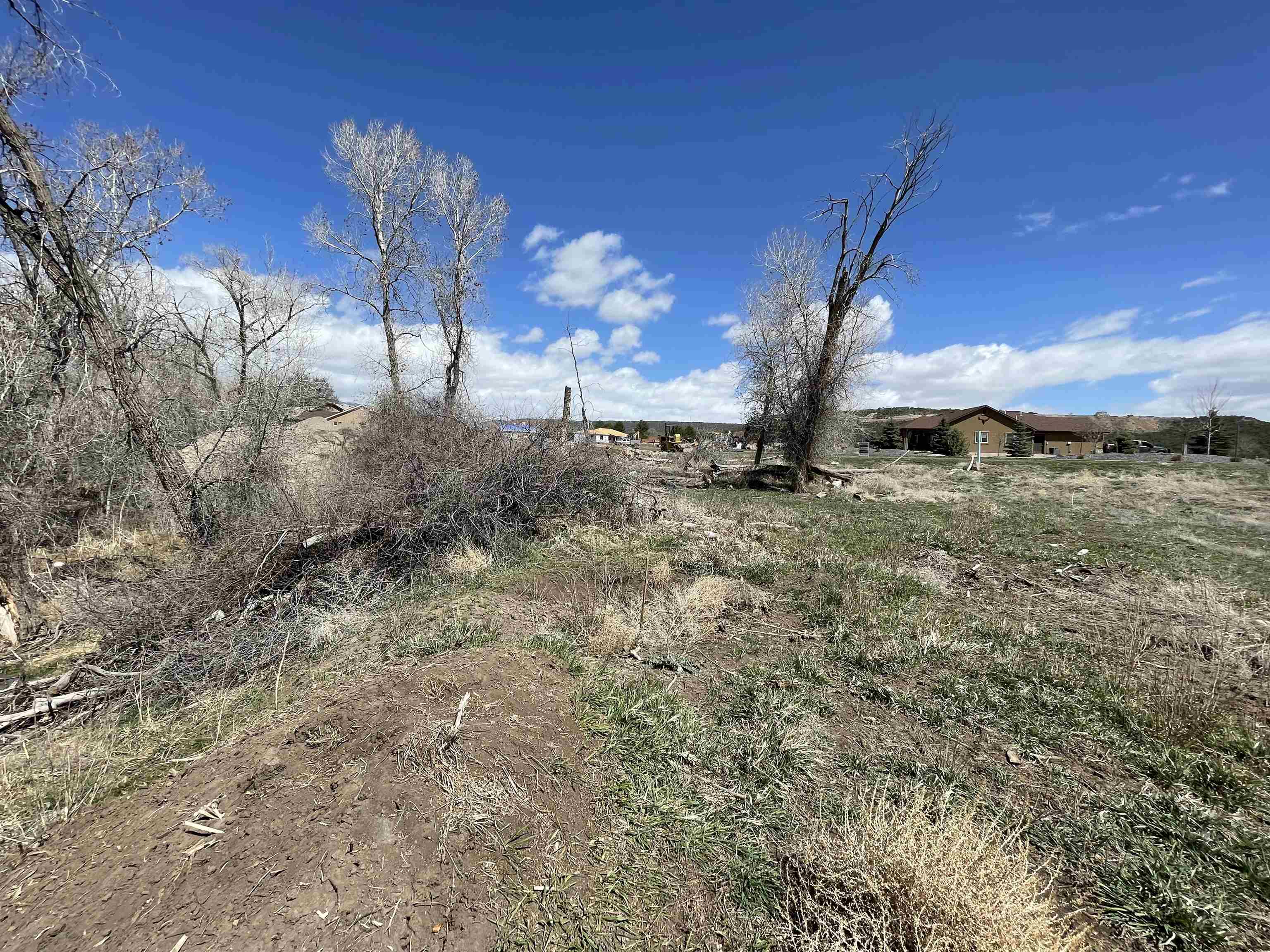 a view of a yard with an outdoor space