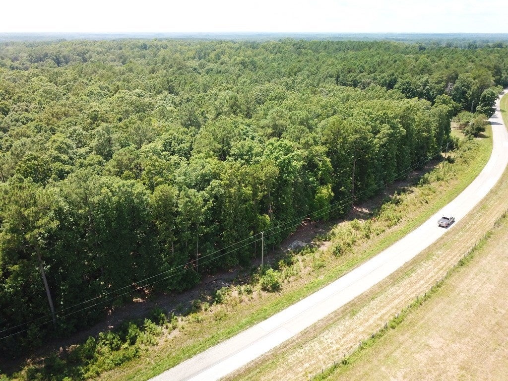 668 Berry Road, Unit 13 Brodnax, VA 23920 - Photo 9 of 15 Gallery Image 9