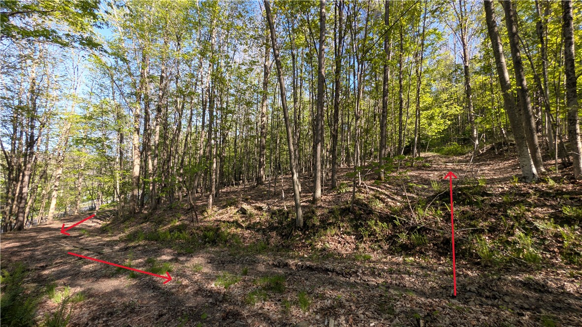Lot 5 East River Road Andes, NY 13731 - Photo 18 of 39