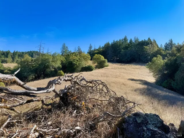 a view of a backyard of the house