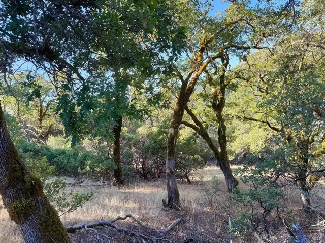 $250,000 | 18225 Scenic Drive, Redwood Valley, CA 95470
