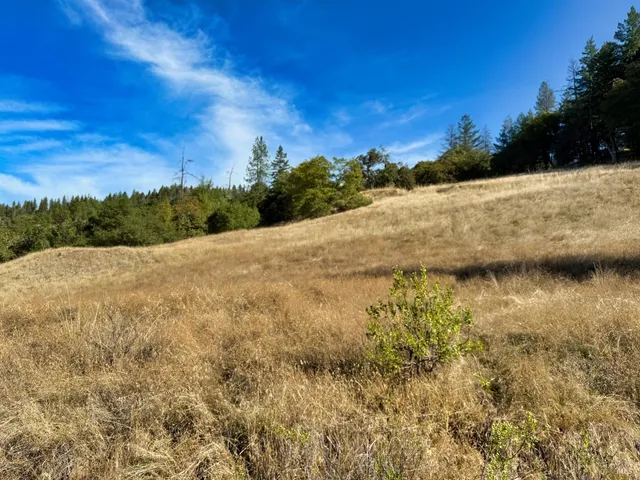 $250,000 | 18225 Scenic Drive, Redwood Valley, CA 95470