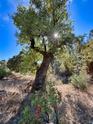 $250,000 | 18225 Scenic Drive, Redwood Valley, CA 95470