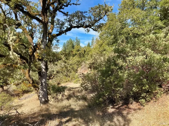 $250,000 | 18225 Scenic Drive, Redwood Valley, CA 95470