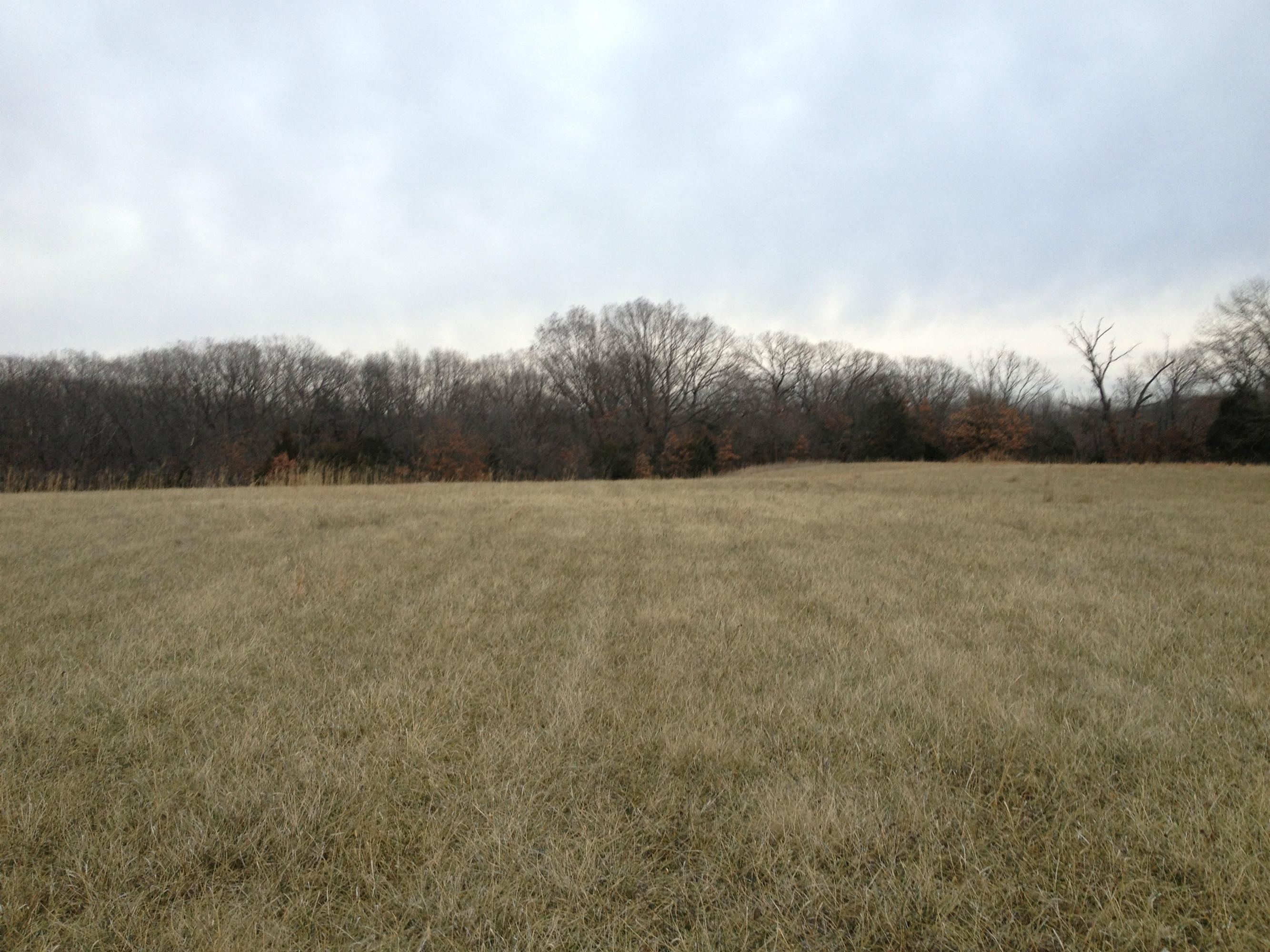 Ridge Road Harrisburg, MO 65256 - Photo 1 of 1