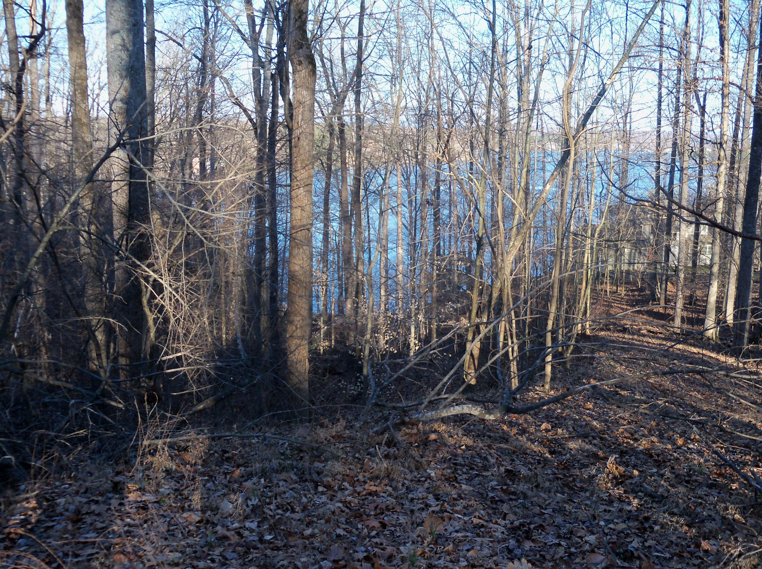 Lot 5 Virginia Key Drive Union Hall, VA 24176 - Photo 3 of 4 .99 Acres