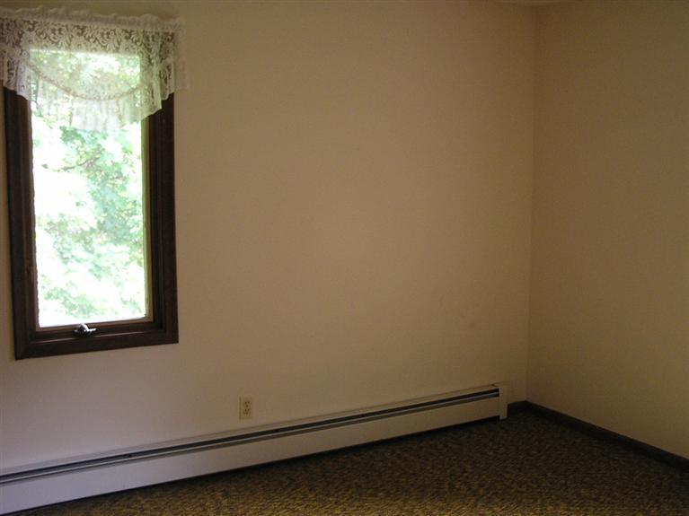 3969 Jackson Road Saranac, MI 48881 - Photo 6 of 10 Additional Photo