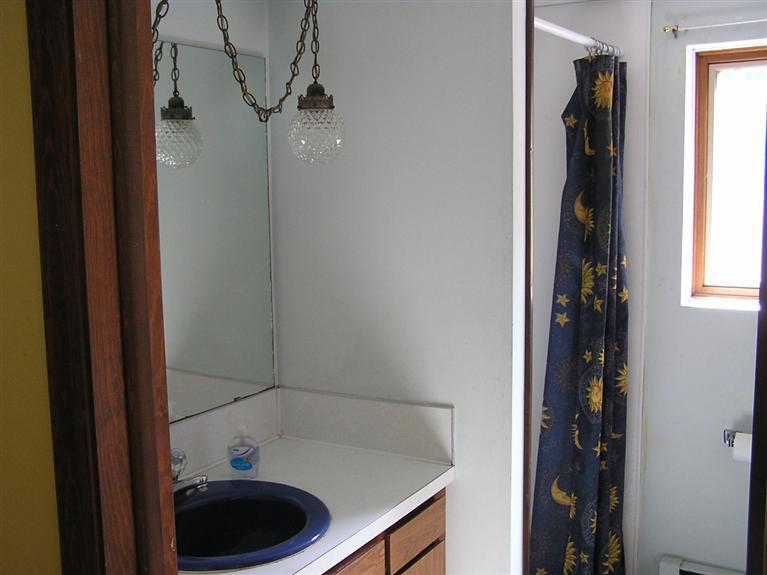 3969 Jackson Road Saranac, MI 48881 - Photo 10 of 10 Additional Photo