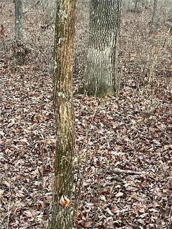 $595,000 | 1220 Northwest E Highway, Osceola, MO 64776